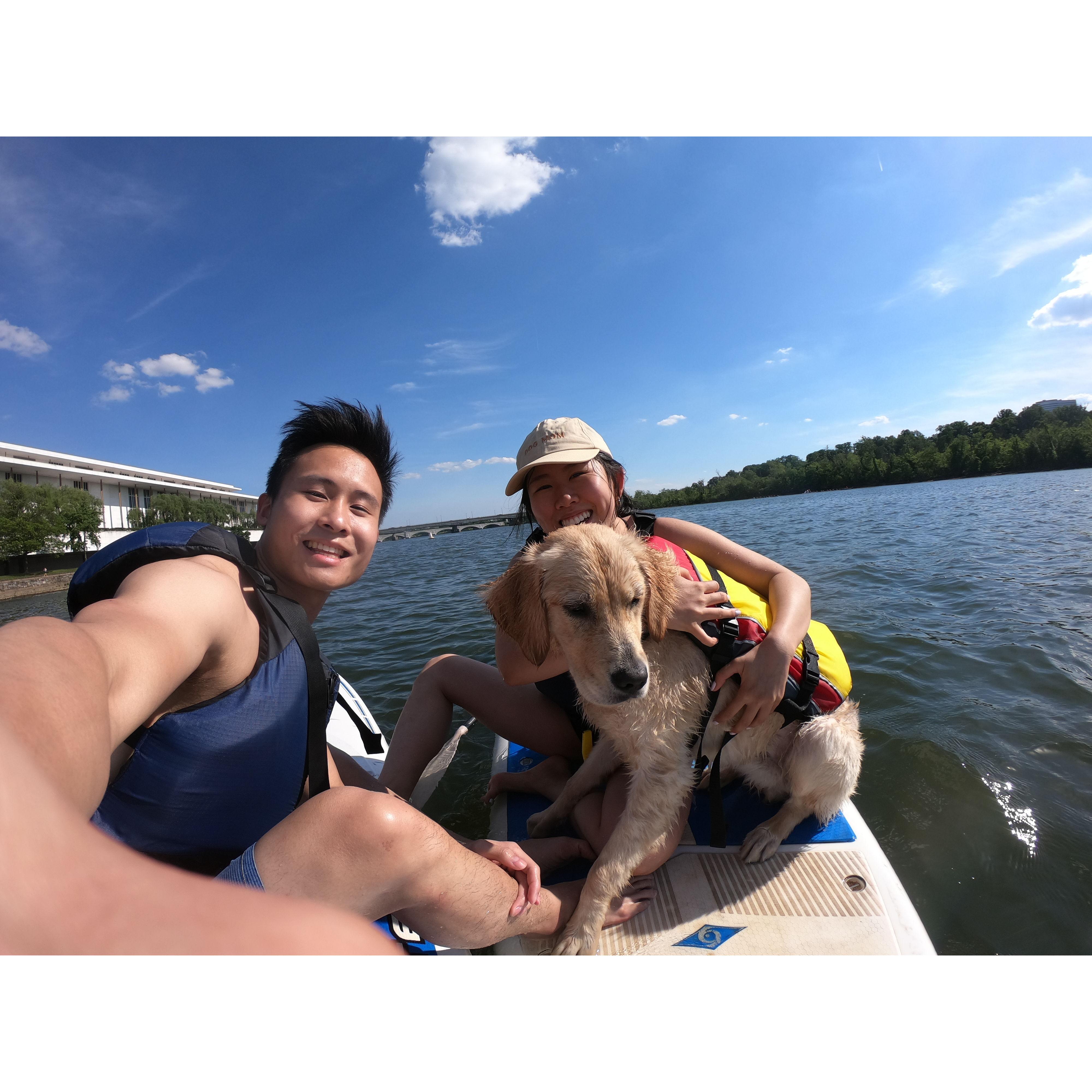 May 2021 - Paddleboarding on the Potomac River with Molo - Molo didn't know how to swim before this day but he jumped right in and learned immediately