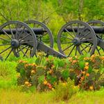 Palo Alto Battlefield National Historical Park