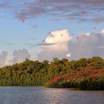 Caroni Bird Sanctuary