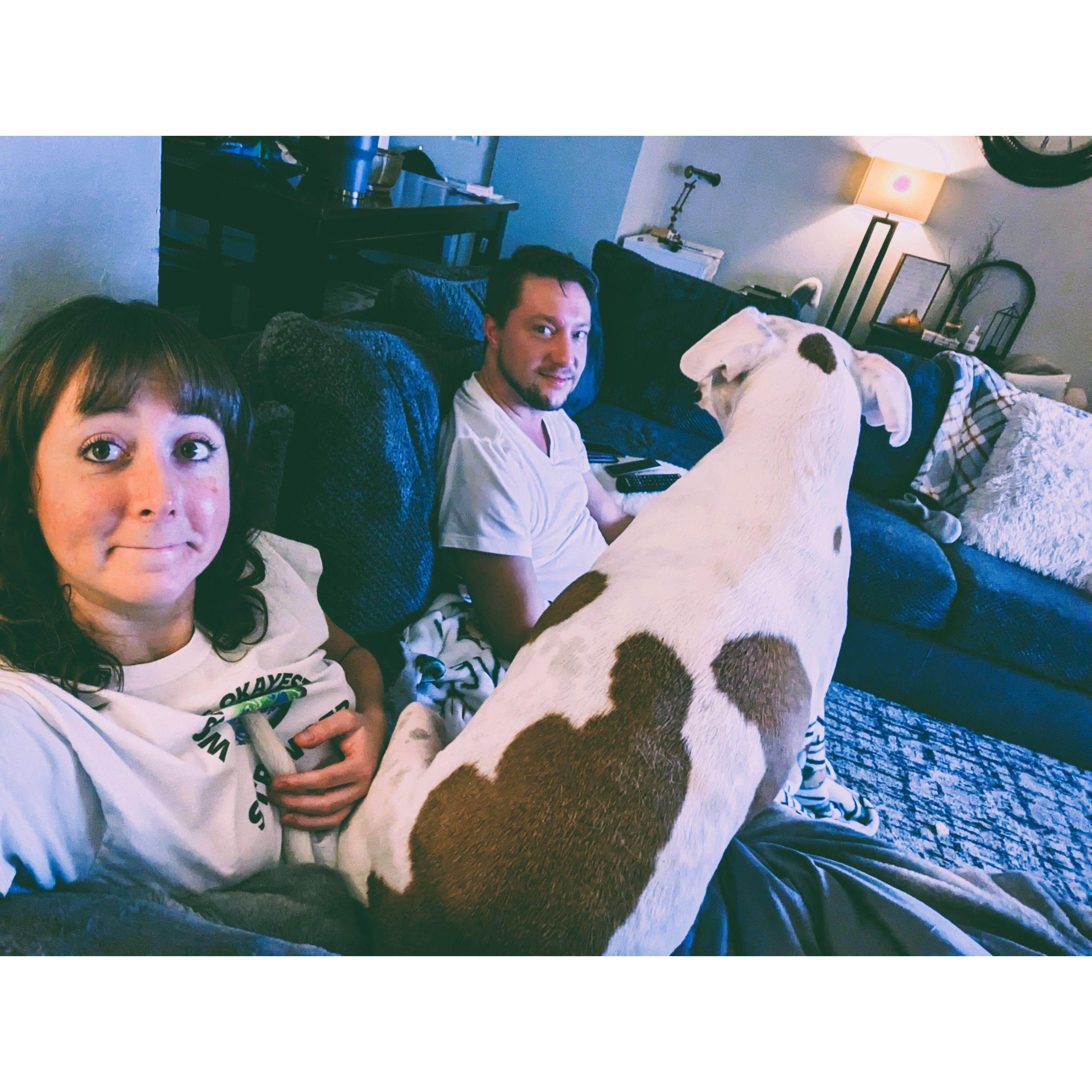 The fam bam having a movie night - no one has told Chance that he isn't lapdog size...