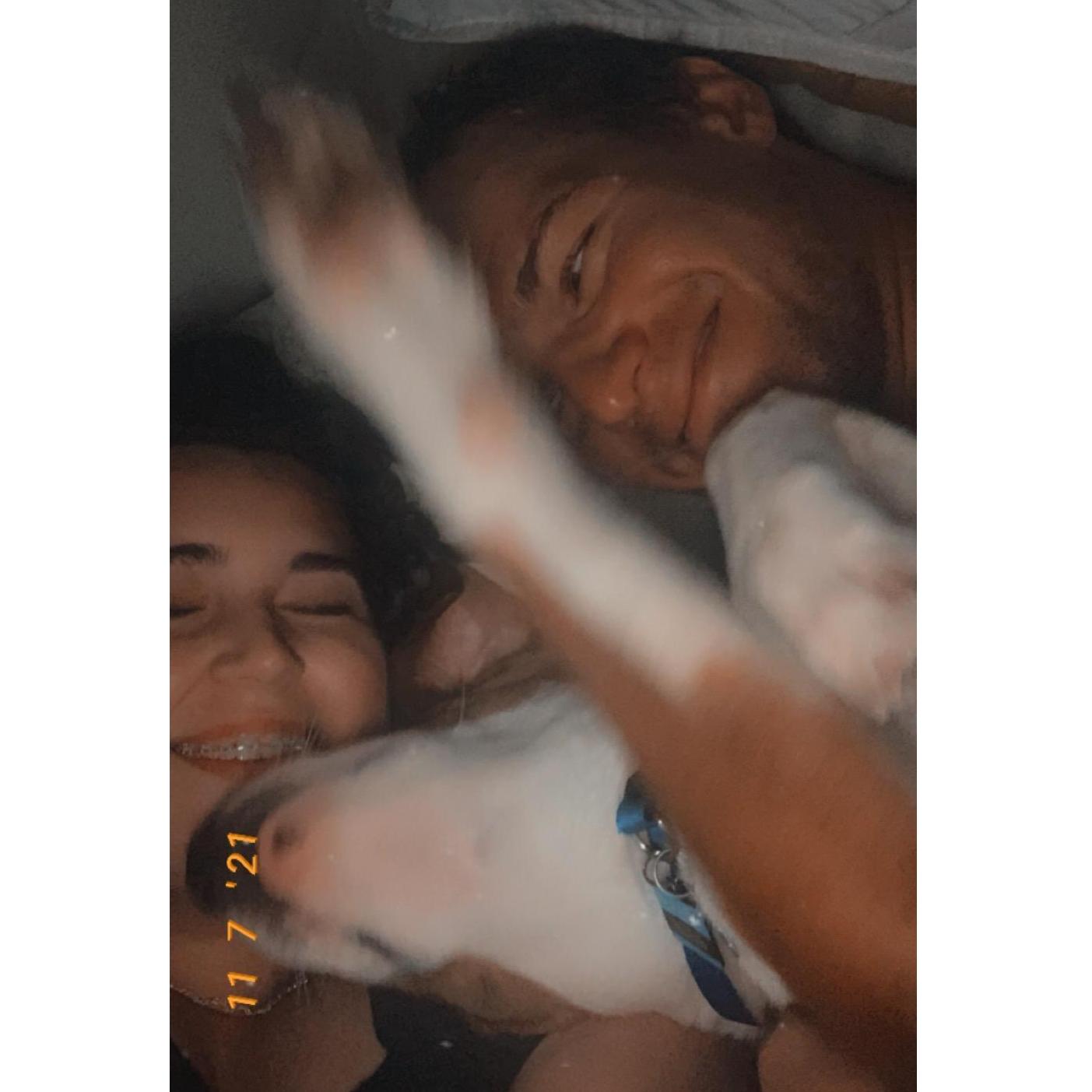 Puppy Cuddles are the best Cuddles