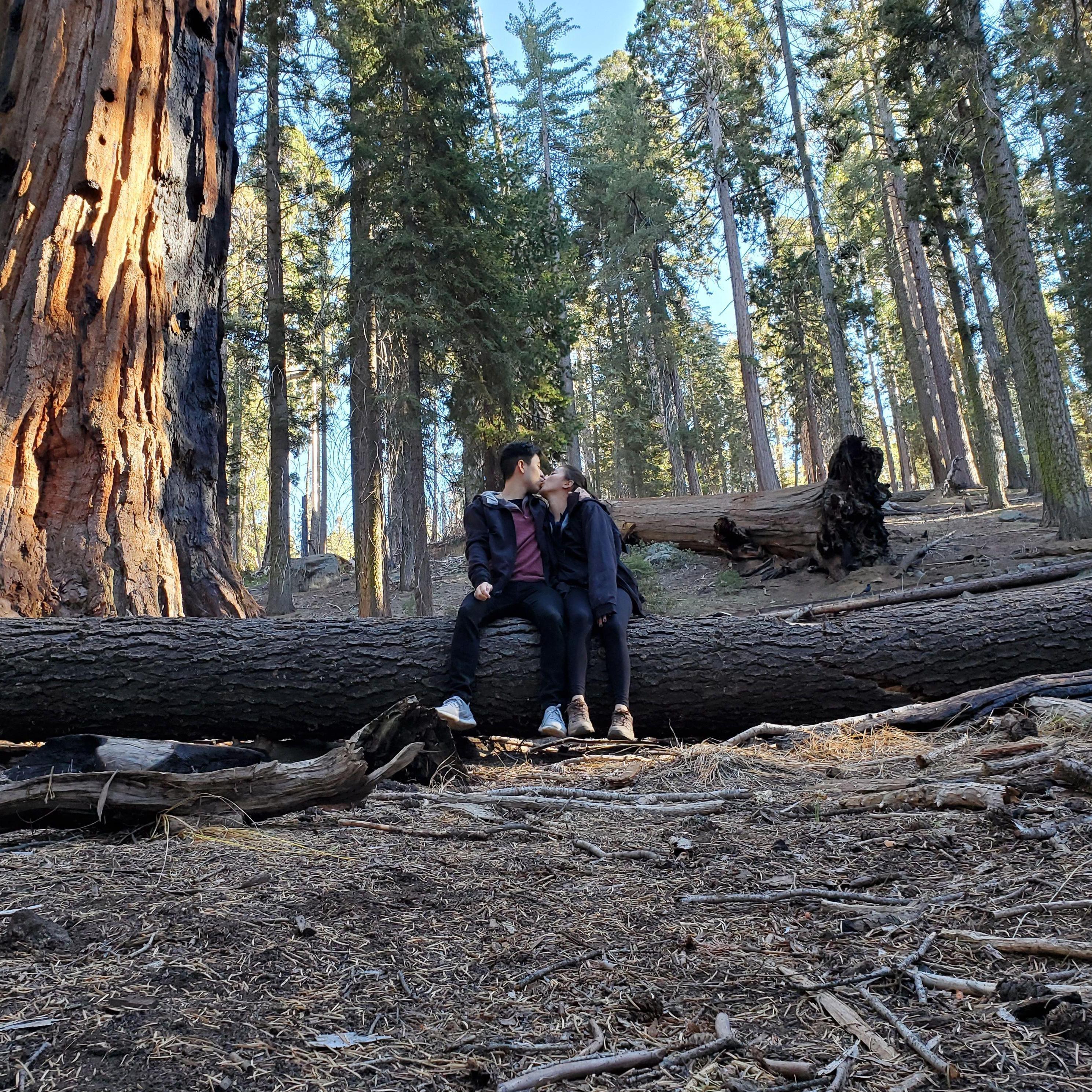 Sequoia National Park
