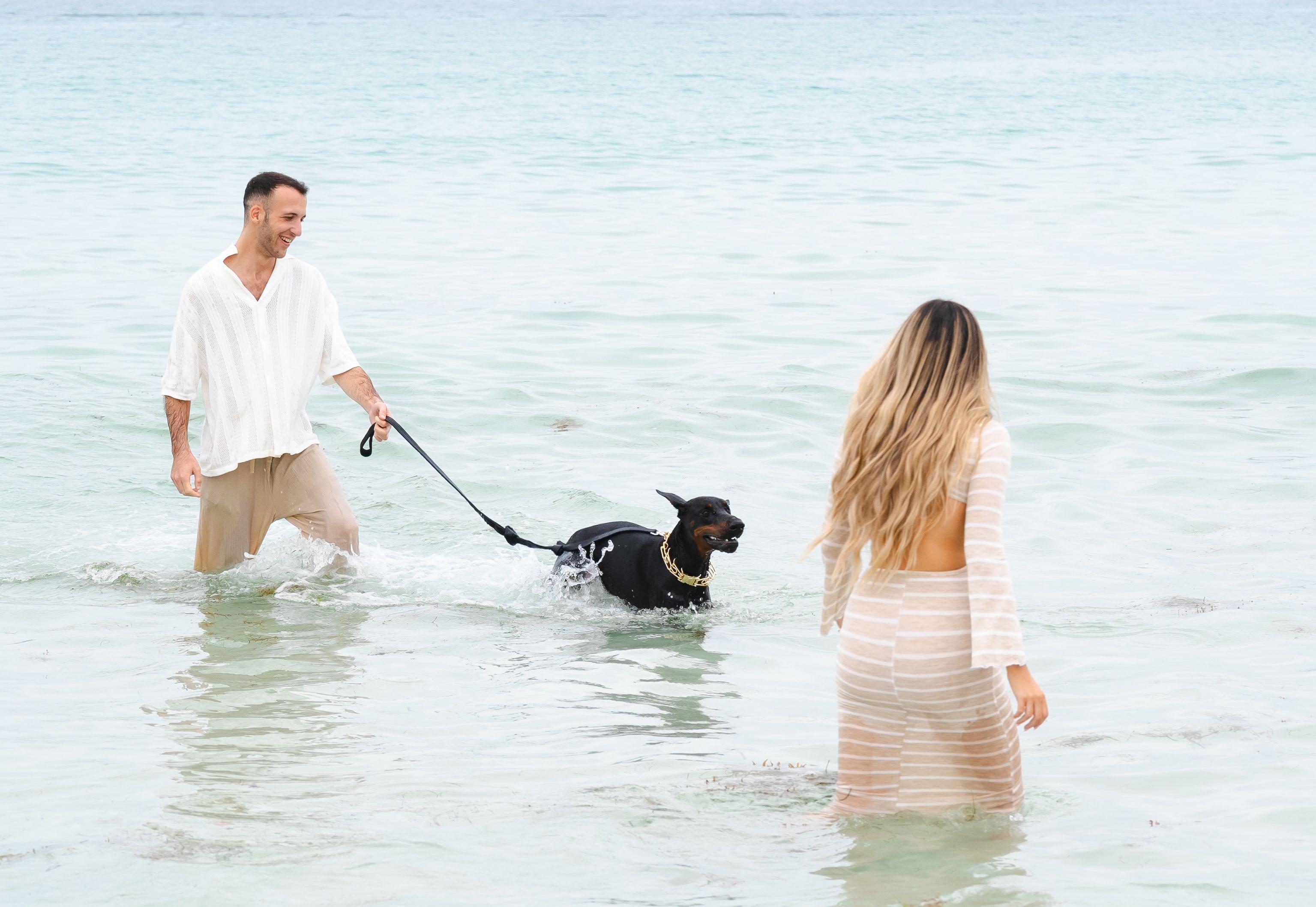 The Wedding Website of Nicole Gross and Alen Magreli