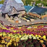 Ott's Exotic Plants