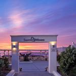 Santo Wines