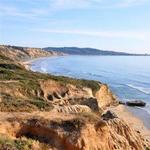 Torrey Pines State Reserve