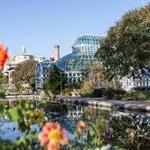 Brooklyn Botanic Garden