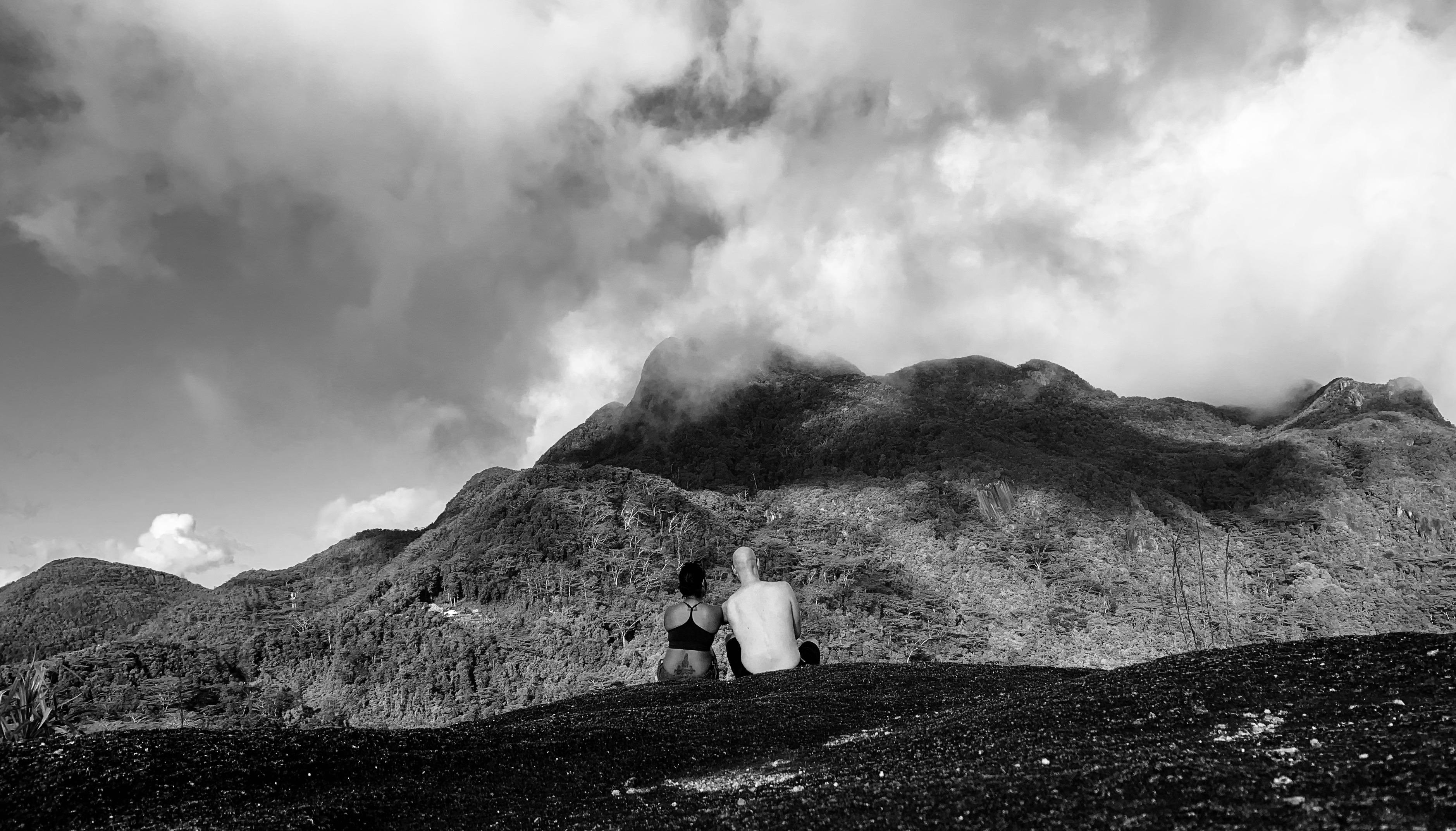 2cfcc35b-7d22-4198-8a65-f66ddcb1d03c