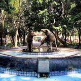Jardín Centenario