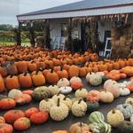 Spencer Farm