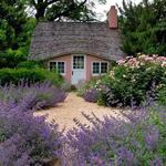 Planting Fields Arboretum