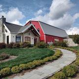 Catoctin Breeze Vineyard
