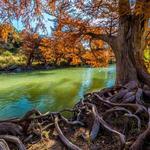 Guadalupe River State Park