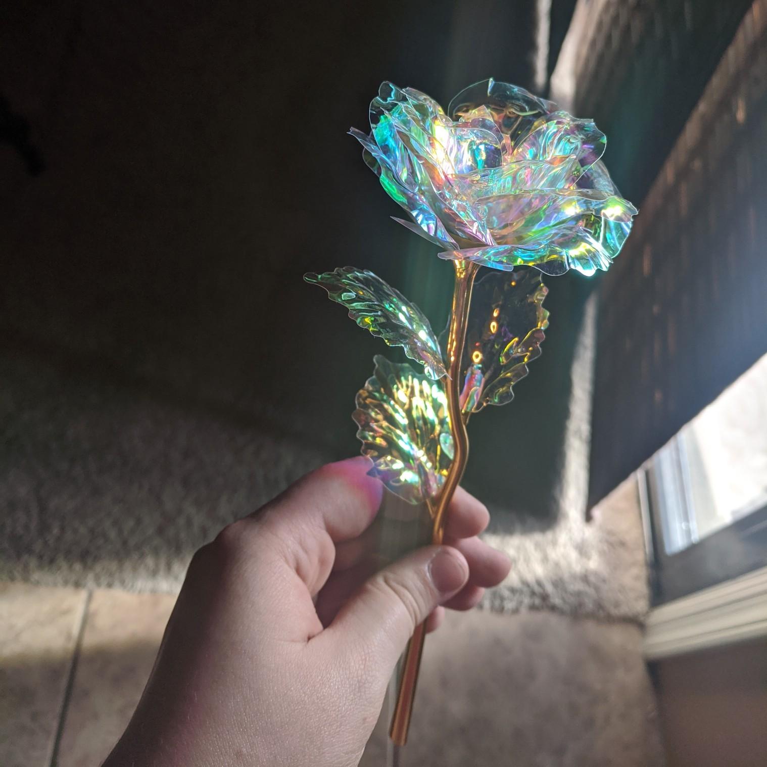 Roses are Teleia's favorite flower. This is known as the engagement rose as it was part of the present leading up to the proposal. Teleia plans on having this rose incorporated into her wedding bouquet!