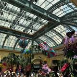 Bellagio Conservatory & Botanical Gardens