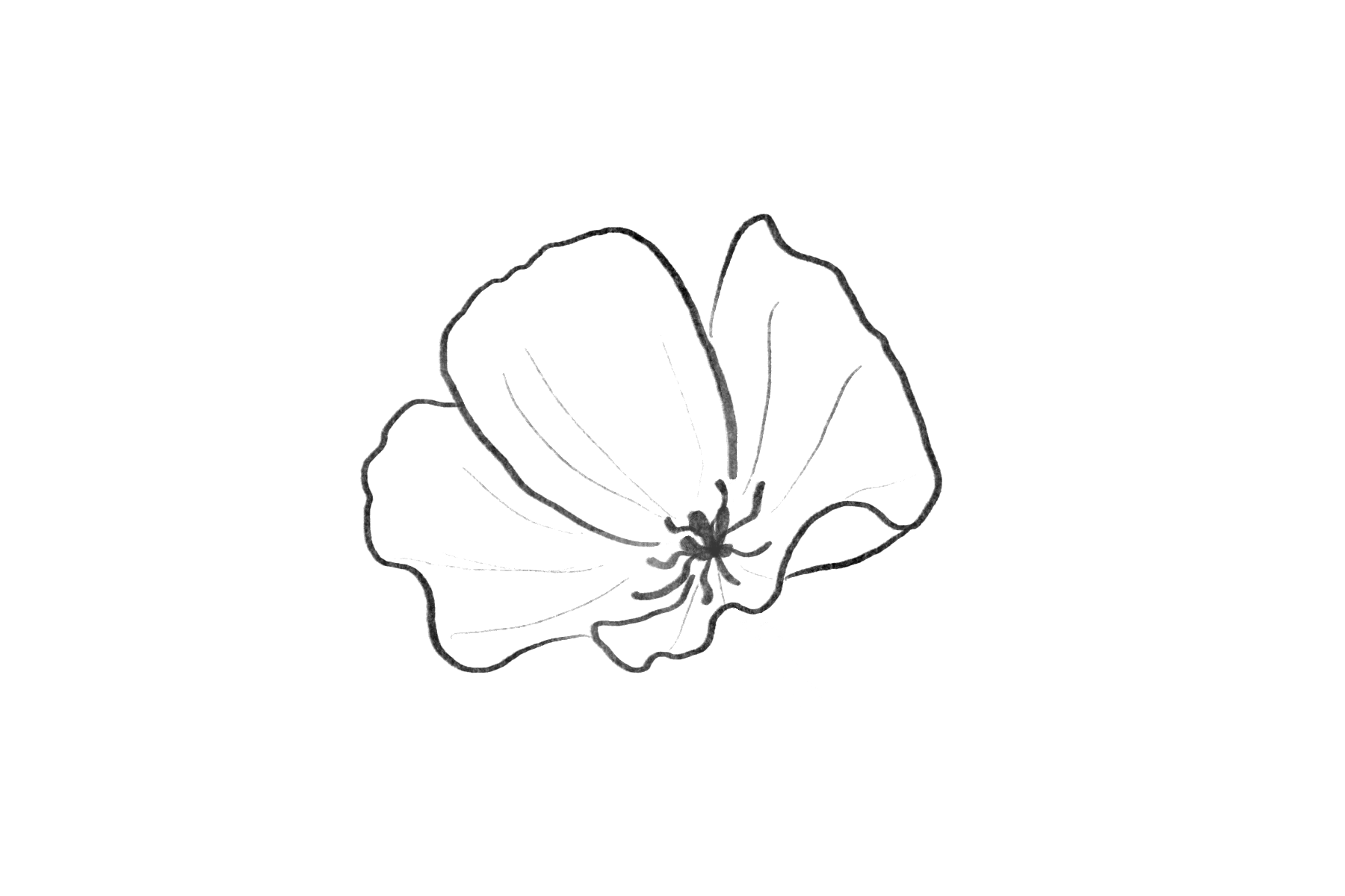 The Wedding Website of Emily Biekert and Benjamin Tinklenberg