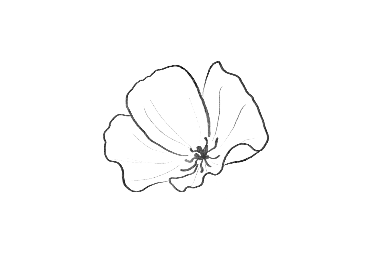 The Wedding Website of Emily Biekert and Benjamin Tinklenberg