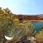 Porcupine Reservoir
