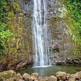 Mānoa Falls Trail