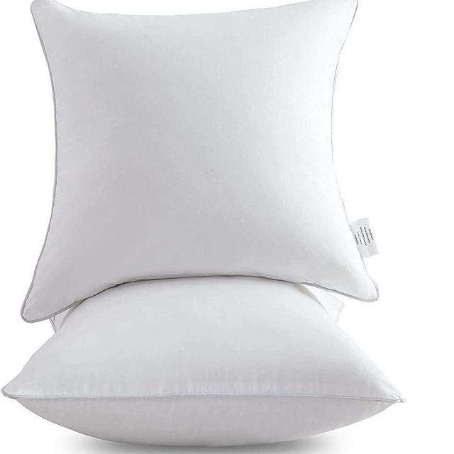 Leeden 20 x 20 Pillow Inserts (Set of 2) - Throw Pillow Inserts with 100% Cotton Cover - 18 Inch Square Interior Sofa Pillow Inserts - Decorative Pillow Insert Pair - White Couch Pillow