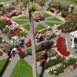 State Capitol Park World Peace Rose Garden