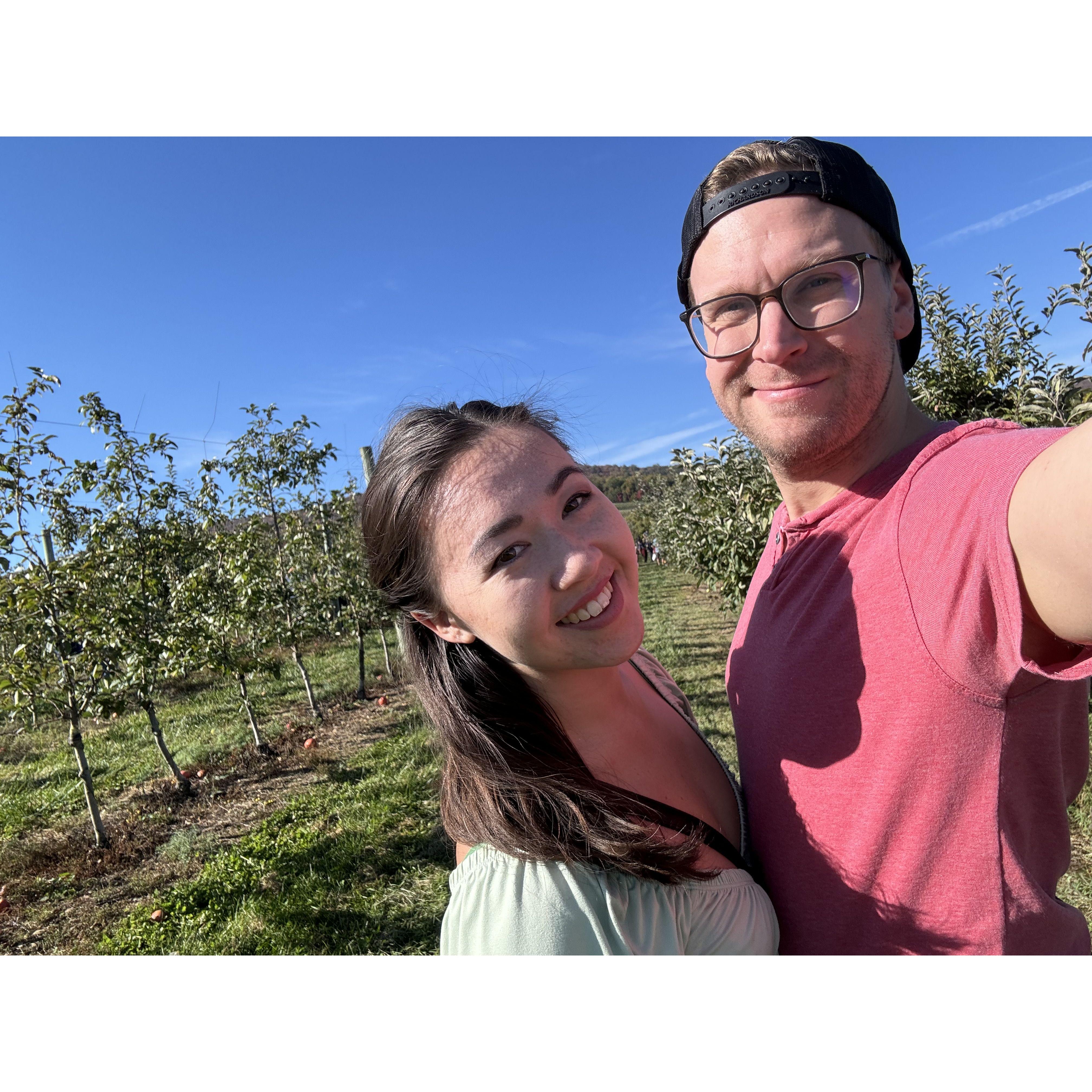 Apple picking 2024, our second date was apple picking at Catoctin Mountain Orchard - so a return to tradition.