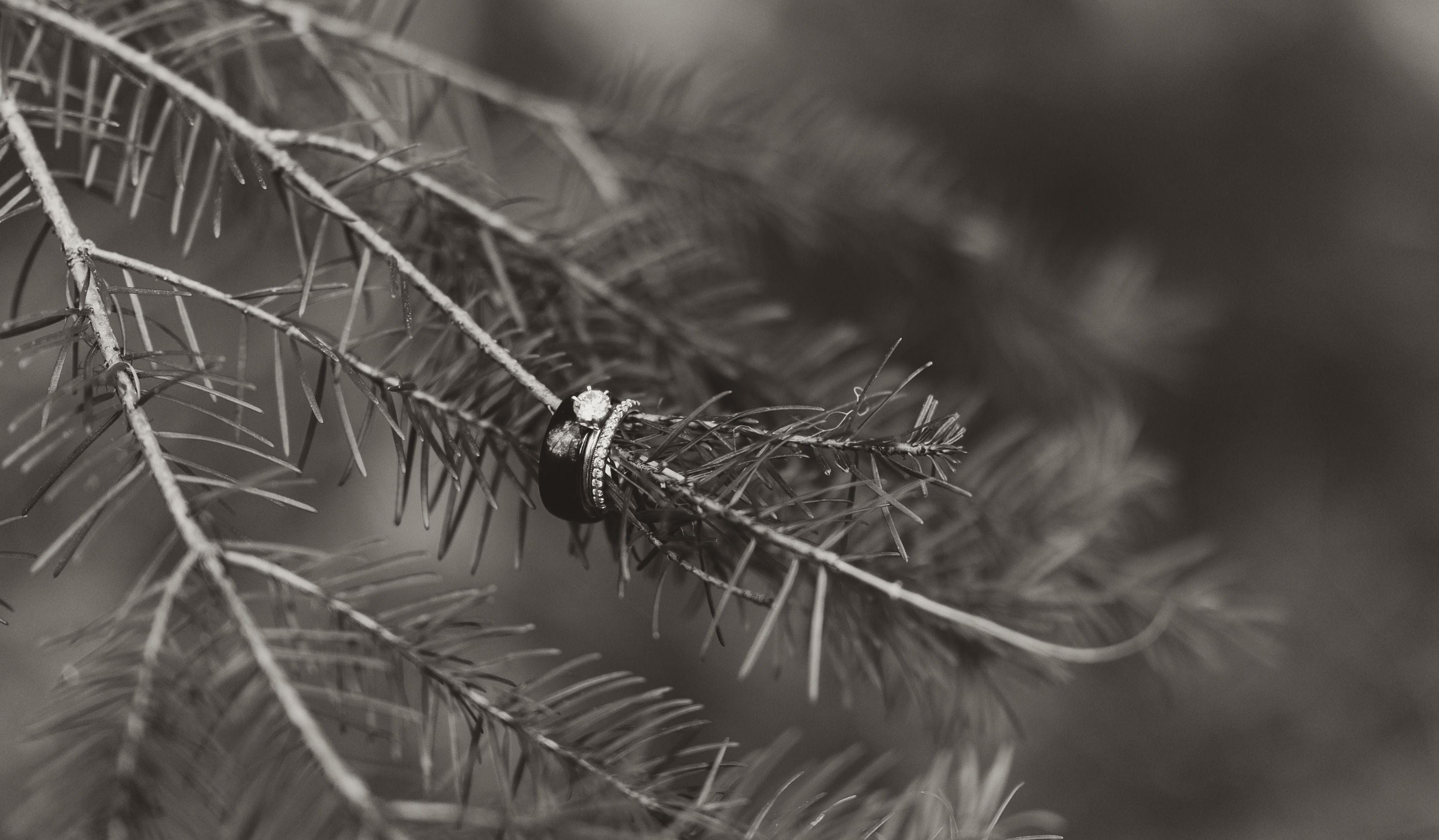 Footer image