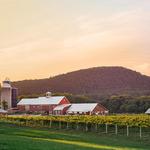 The Barn at Boyden Farm