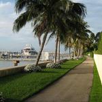 Scenic Lake Trail