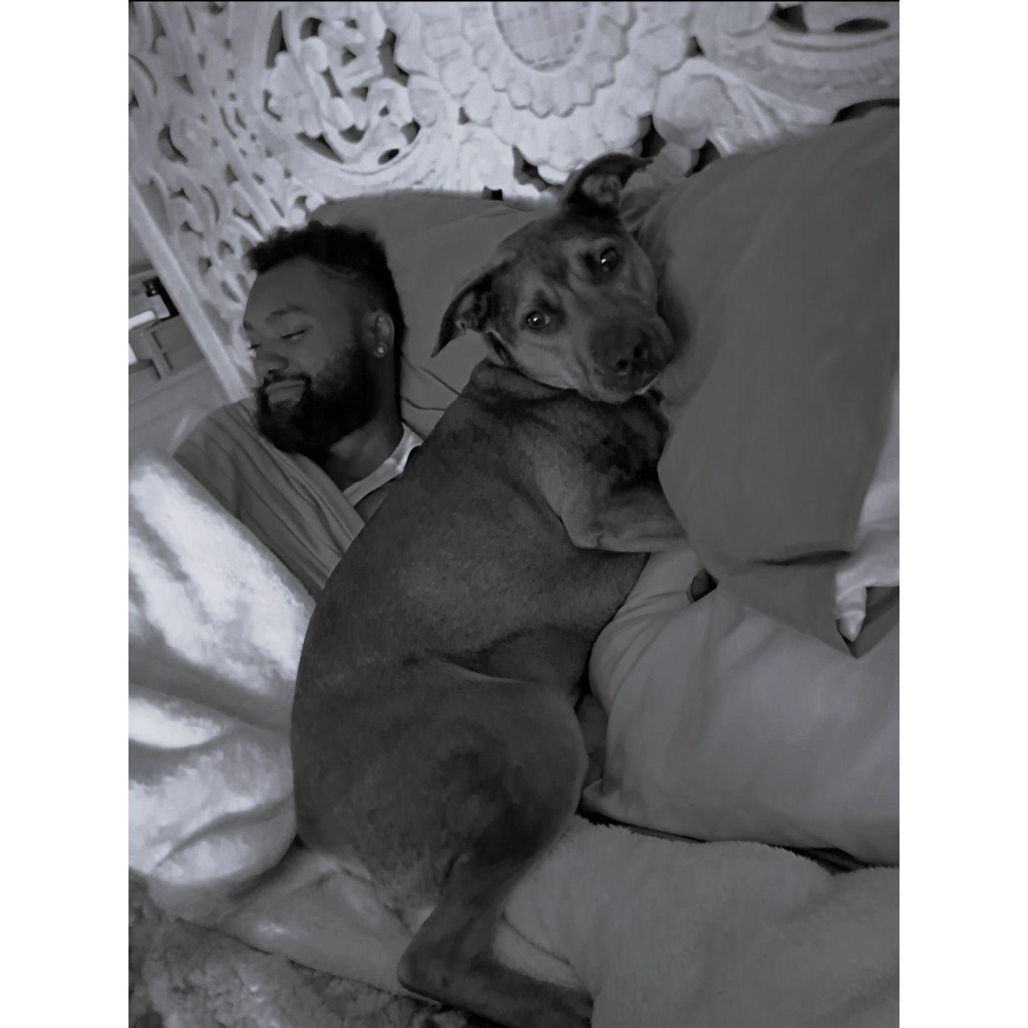 Lotus very quickly attached to Jonah and they are now inseparable <3