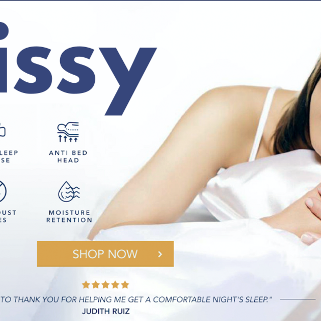Blissy Silk Pillow Cases