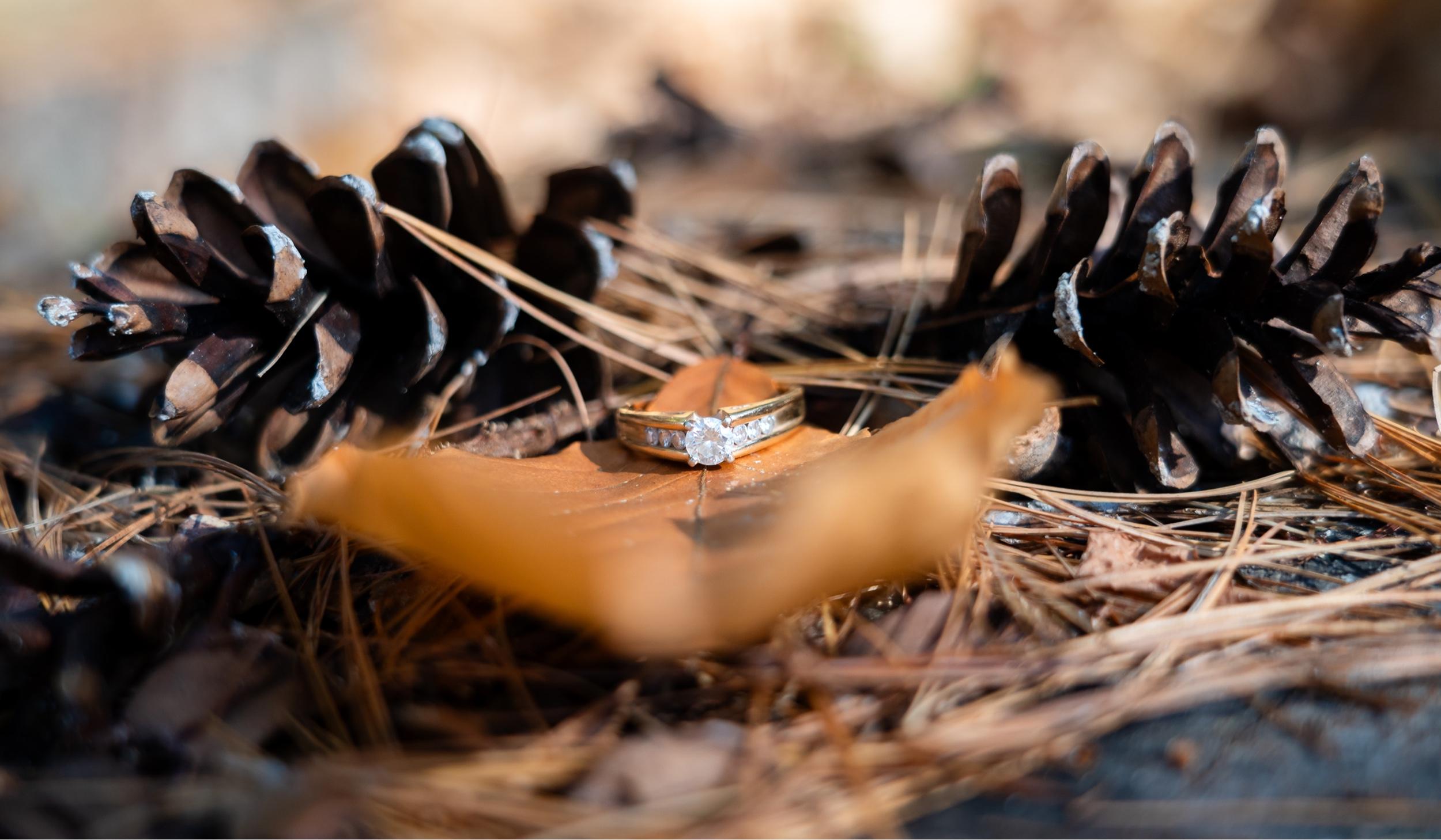 Hero Slideshow Image 5