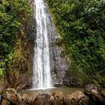 Manoa Falls