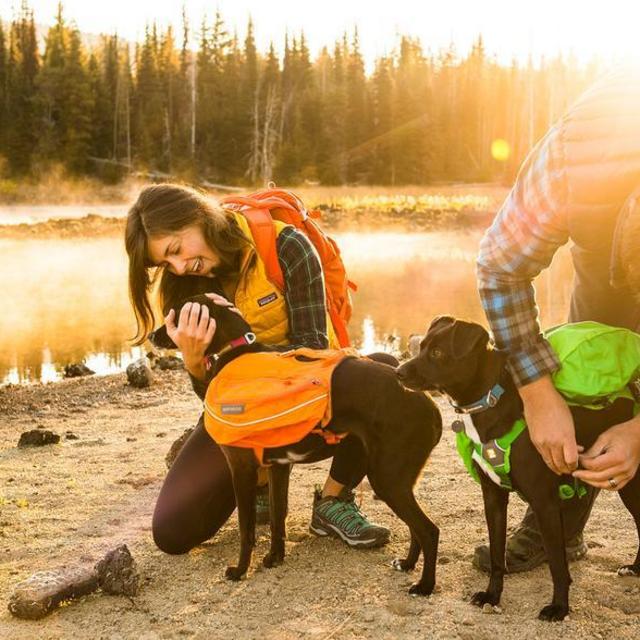 Approach™ Dog Backpack