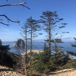 Oregon Coast - Pacific City