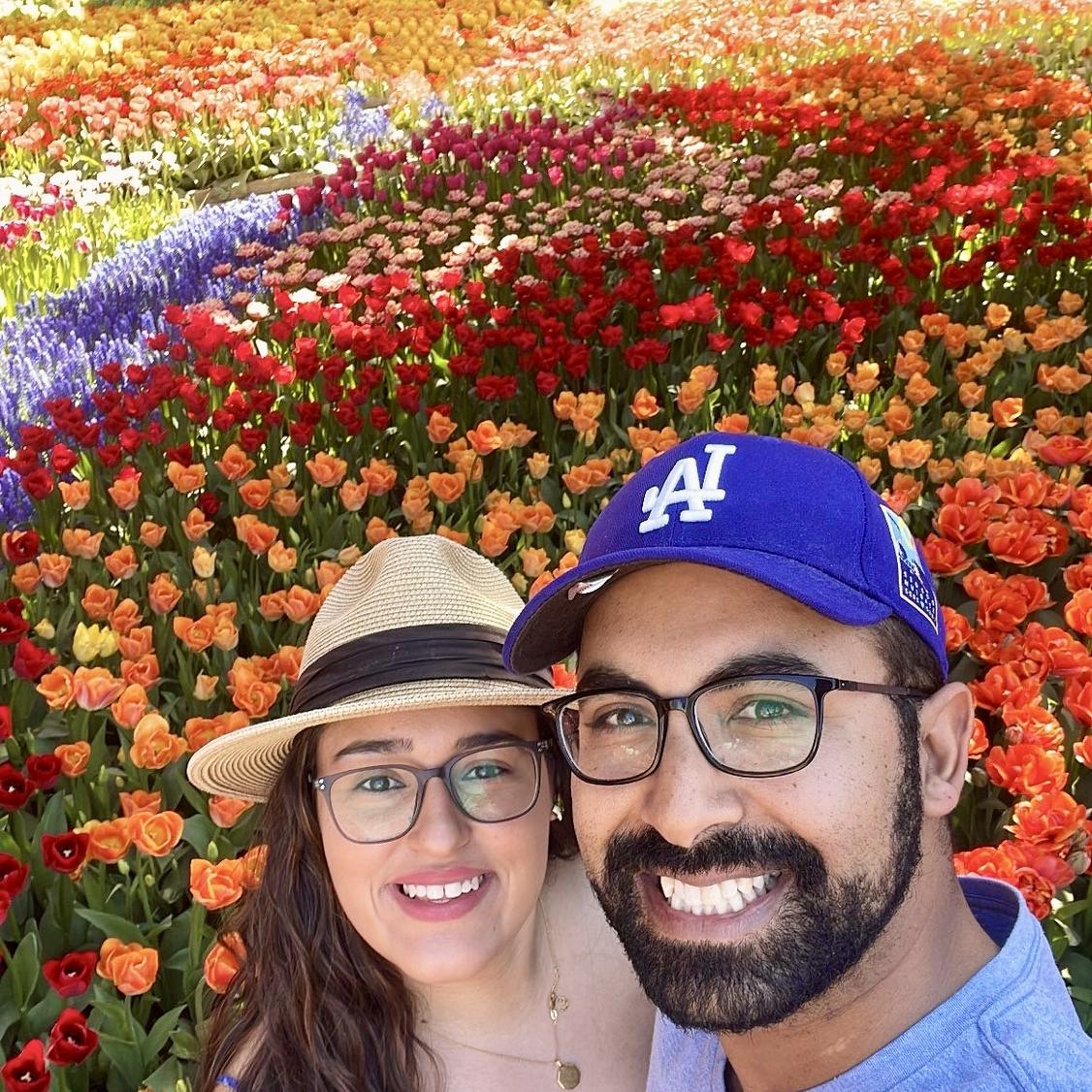 Washington Tulips