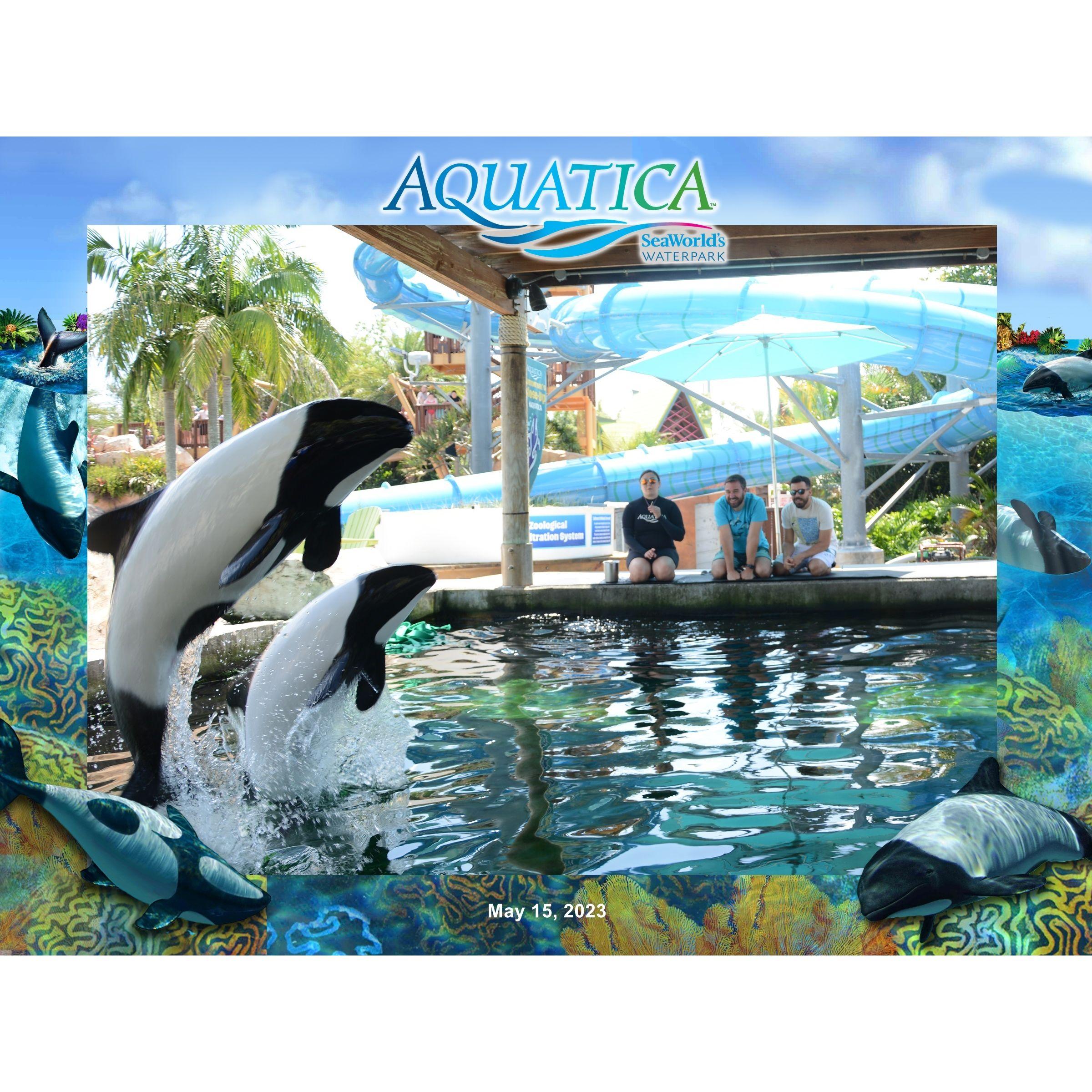 We got to meet Commersons Dolphins and I cried the entire time...