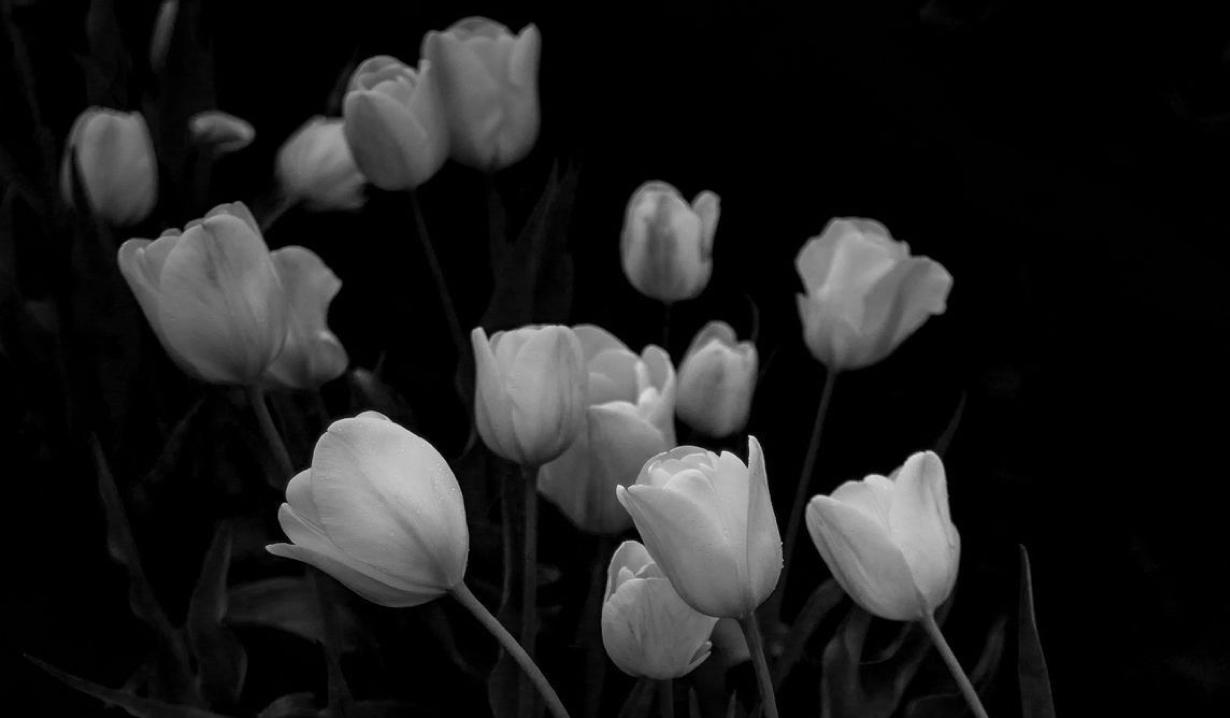 The Wedding Website of Mayette Sanchez Brioso and Yurisan Ceballo Galano