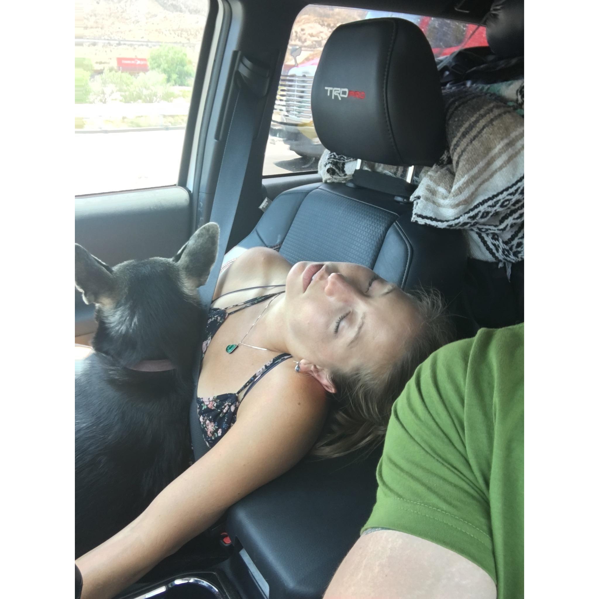 Adventuring is hard work!