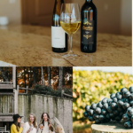 Engelheim Vineyards - Wine Tasting