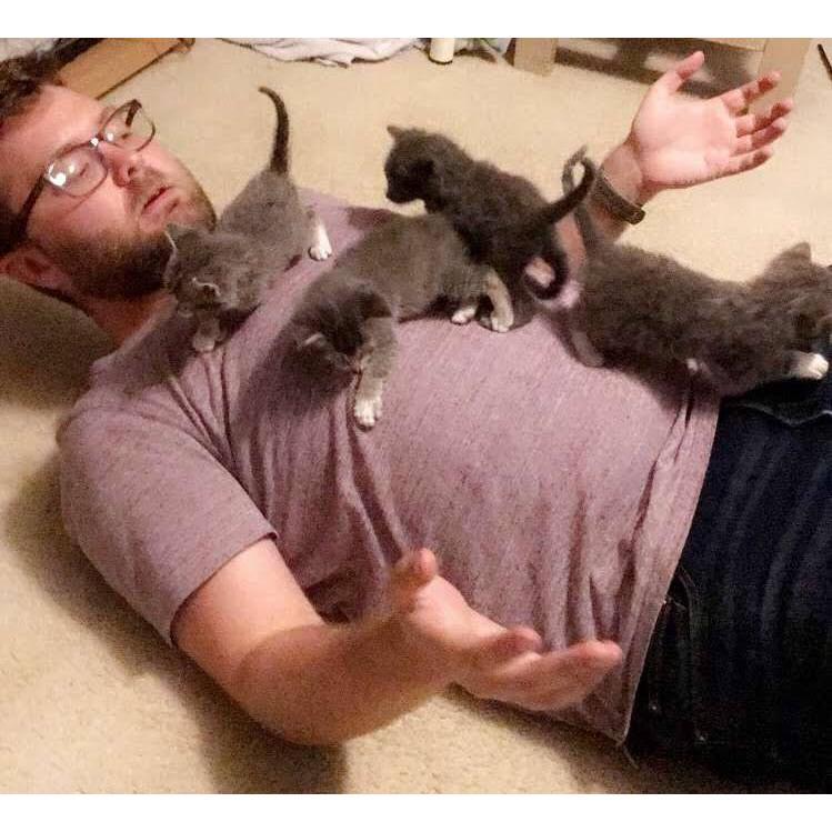 Our first litter of kittens (Tank, Lila, Cleo, and Max)