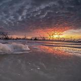 Hunting Island State Park and Beach