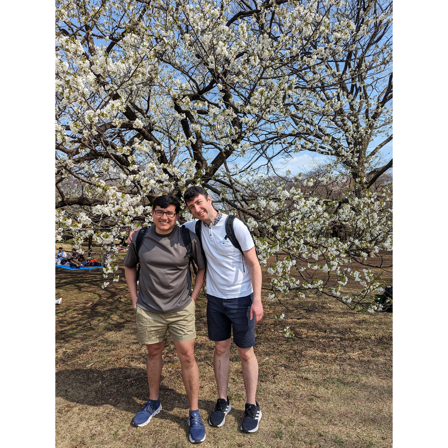 Chasing sakuras!