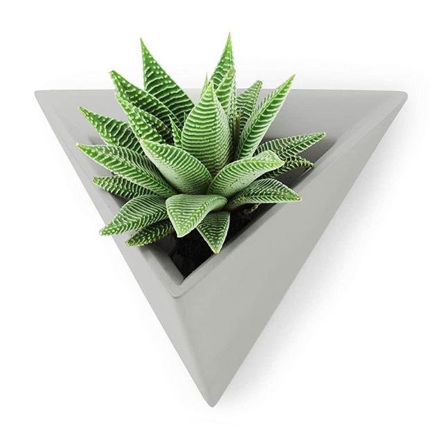 Slice of Goodness Triangular Wall Mounted Succulent Planter Pot - Small Smooth Cement Plant Pots for Succulents and Cactus Plants - Easy to Mount with Screws Included