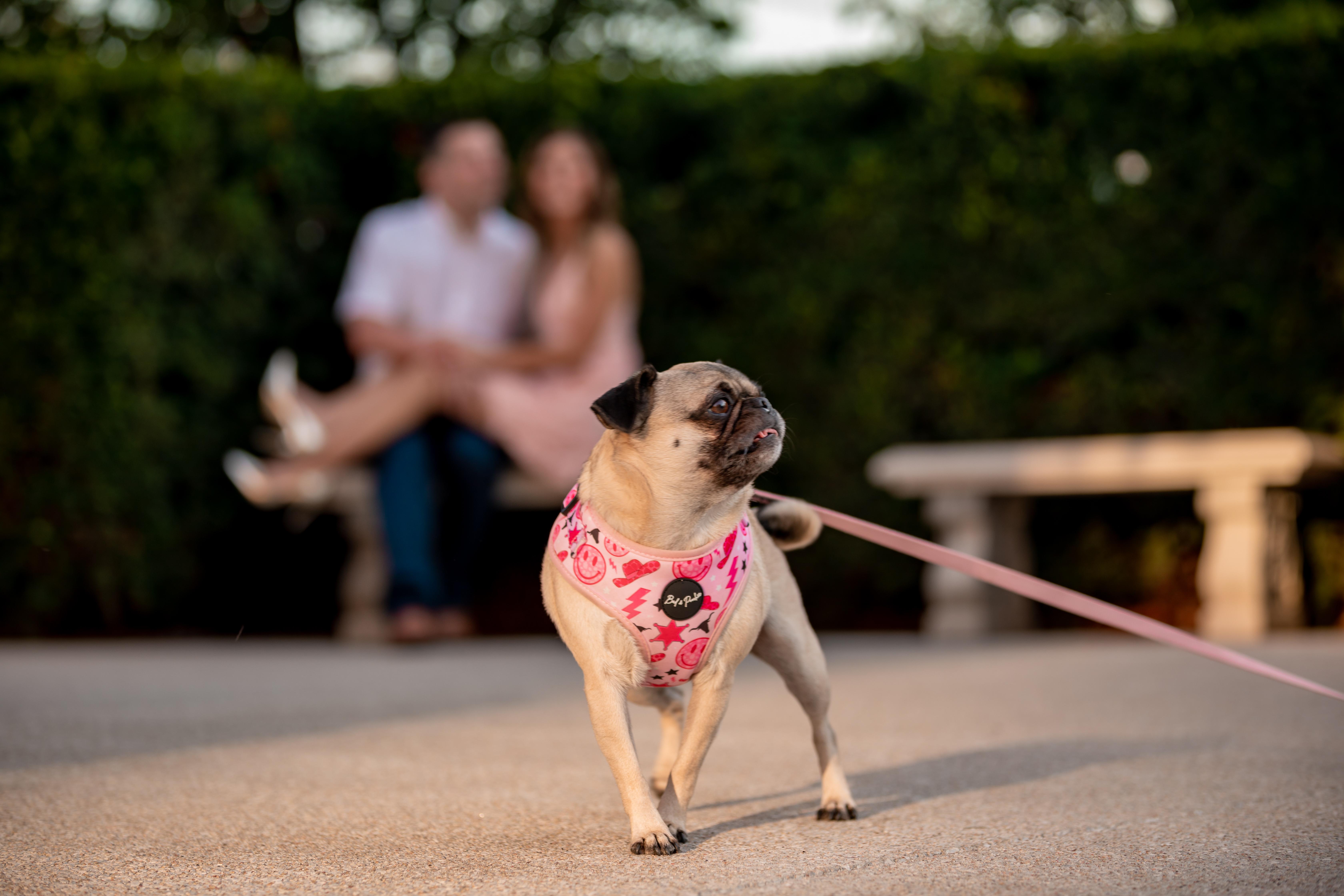 The Wedding Website of Emily Russell and Zach Stone