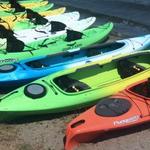 WhatsSup Kayak and Paddleboard