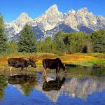 Grand Teton National Park