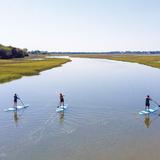 Omni Kayak and Paddle Boarding