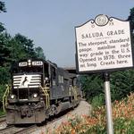 Saluda