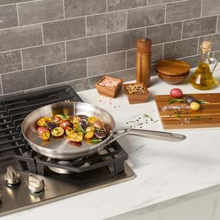 Motion Stainless Steel Fry Pan